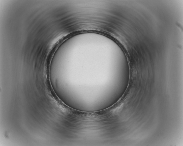 X0000097750979200803211648