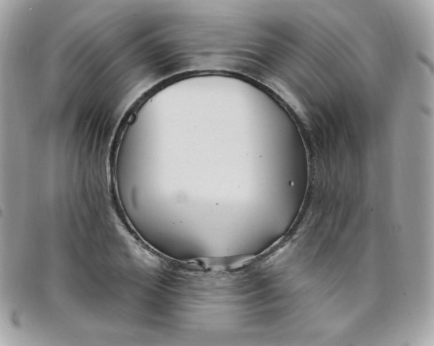 X0000097750980200803211648