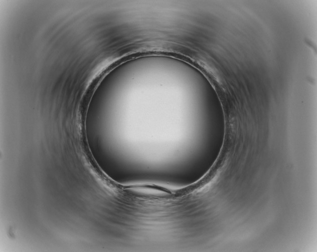 X0000097750981200803211648