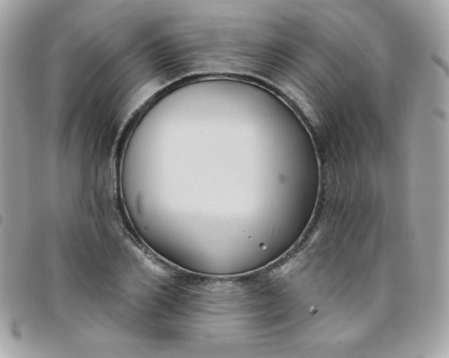 X0000097750982200803211648