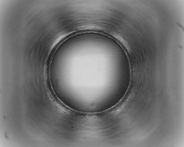 X0000097750983200803211648