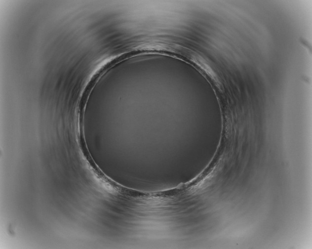 X0000097750984200803211648