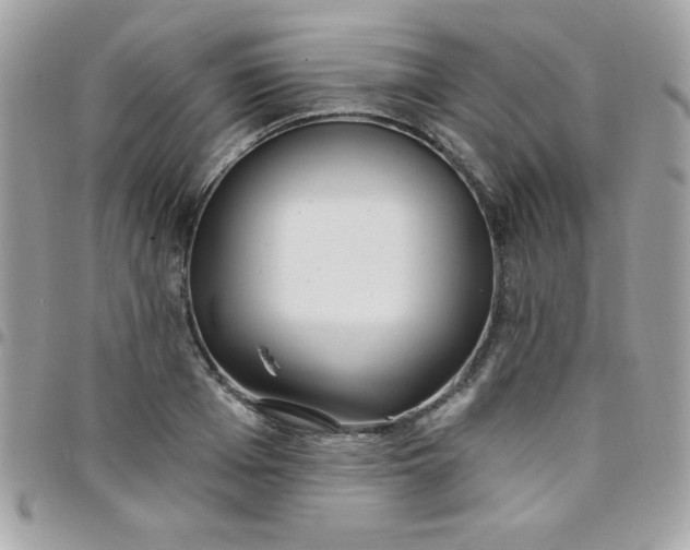 X0000097750985200803211648