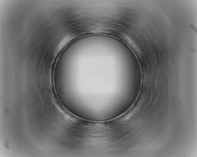 X0000097750986200803211648