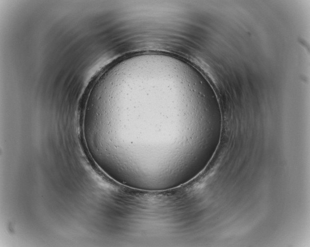 X0000097750987200803211648