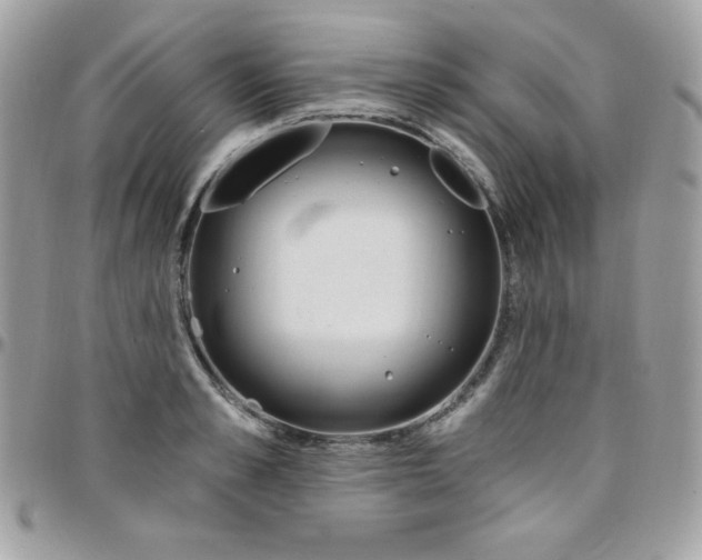 X0000097750989200803211648