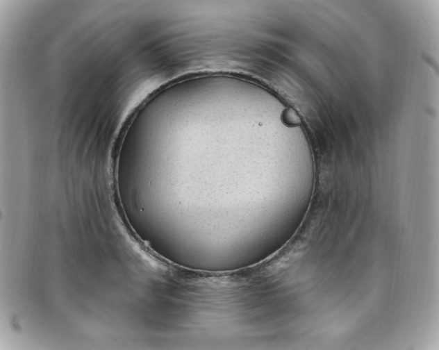 X0000097750990200803211648