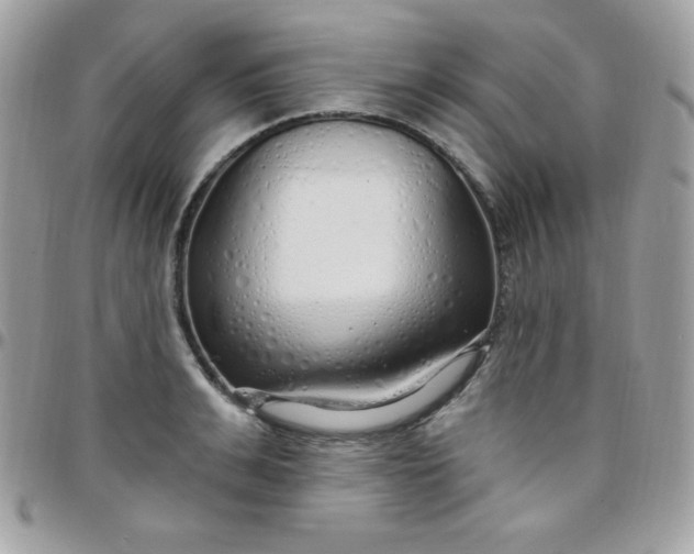 X0000097750991200803211648