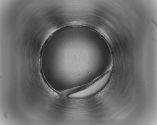 X0000097750992200803211648