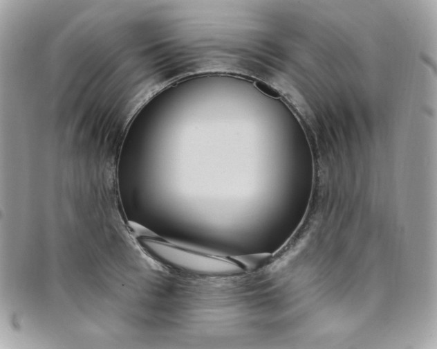 X0000097750993200803211648