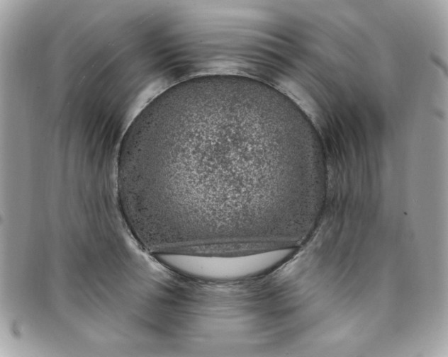 X0000097750994200803211648