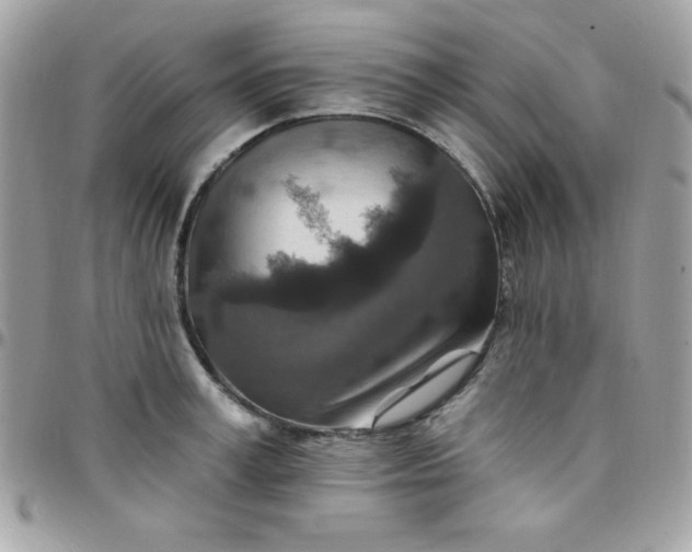 X0000097750995200803211648