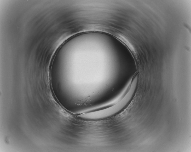 X0000097750996200803211648