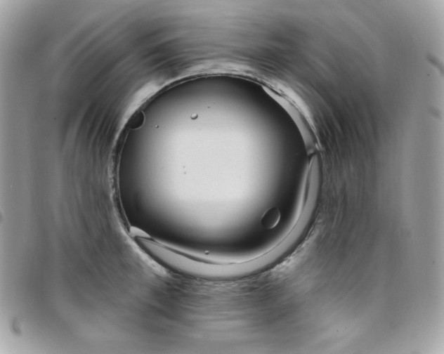 X0000097750997200803211648