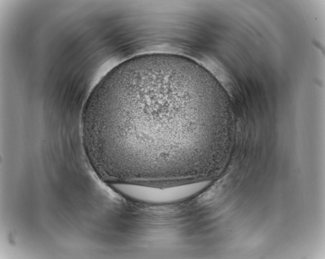 X0000097750998200803211648