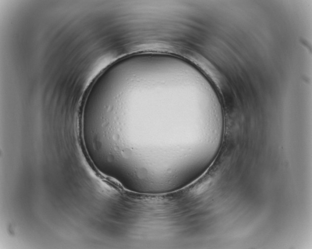 X0000097750999200803211648