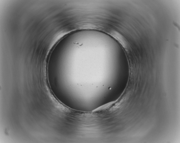 X0000097751000200803211648