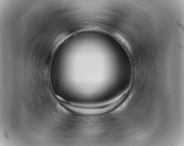 X0000097751001200803211648