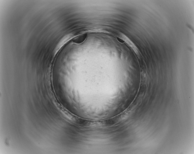 X0000097751002200803211648