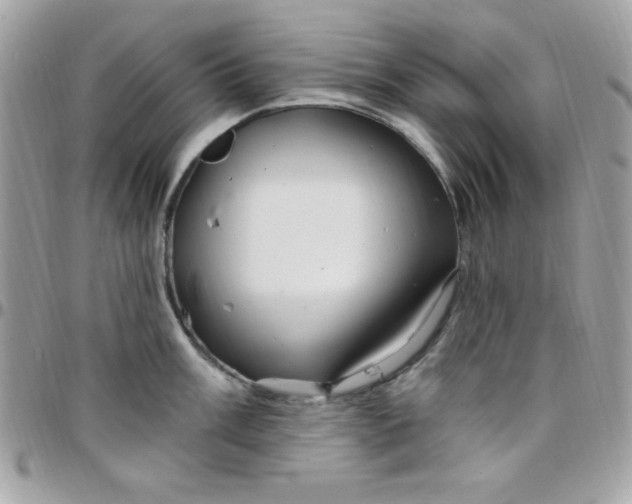 X0000097751003200803211648