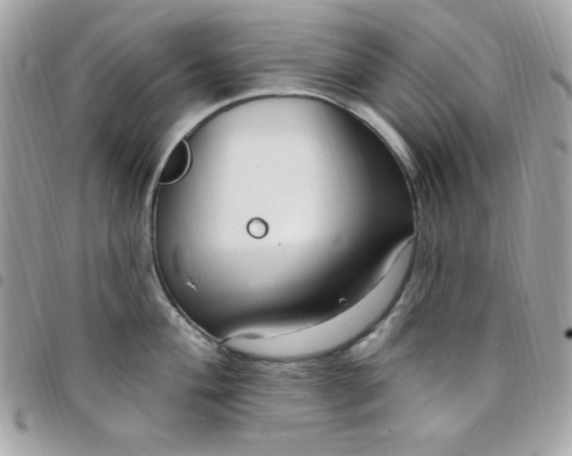 X0000097751004200803211648