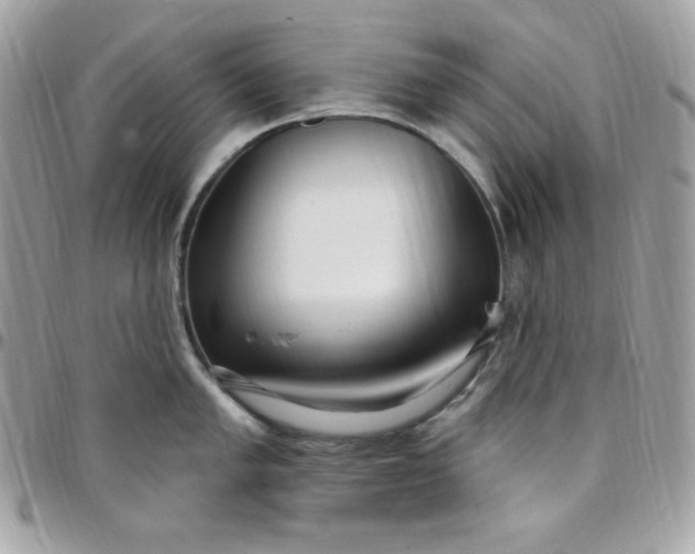 X0000097751005200803211648