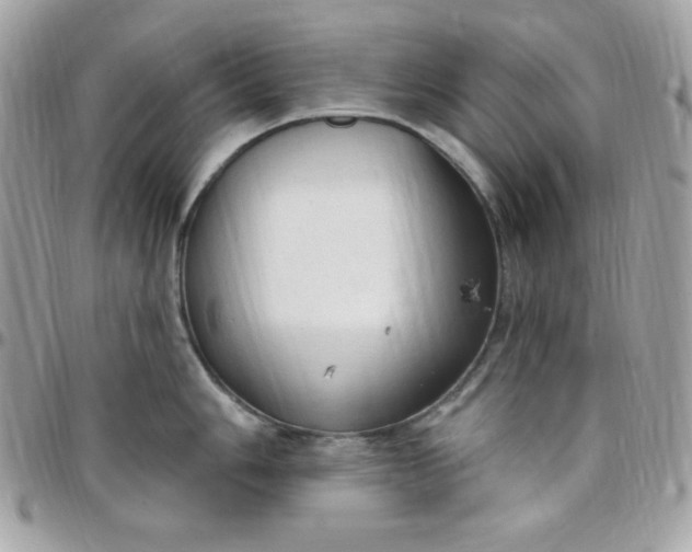 X0000097751006200803211647