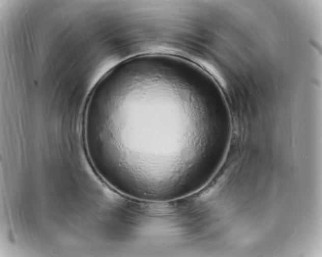 X0000097751007200803211647