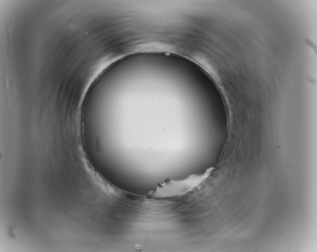 X0000097751008200803211647