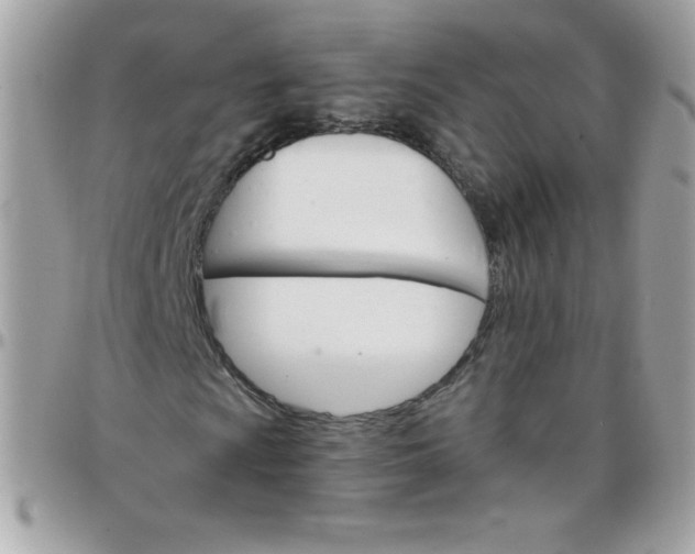 X0000097751009200803211647