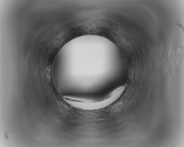 X0000097751010200803211647