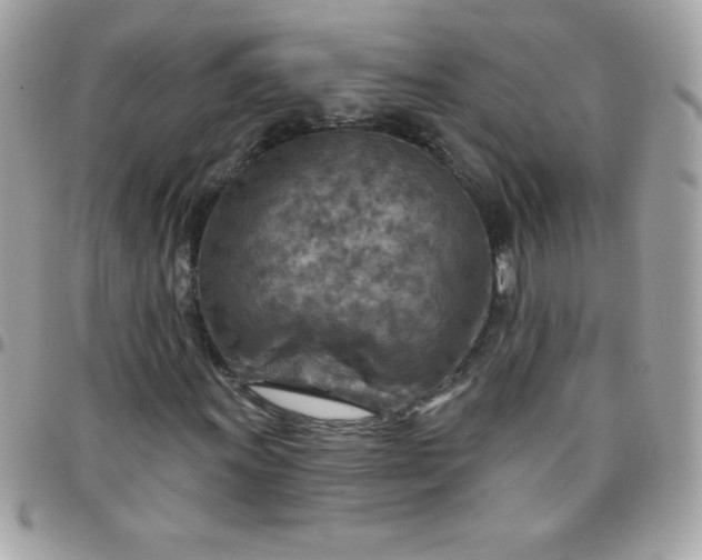 X0000097751011200803211647