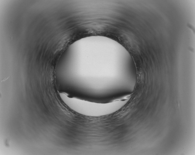 X0000097751012200803211647