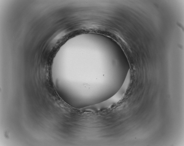 X0000097751016200803211647