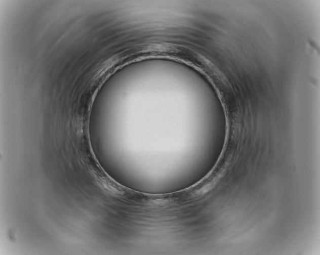 X0000097751017200803211647