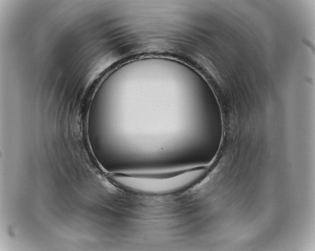 X0000097751018200803211647