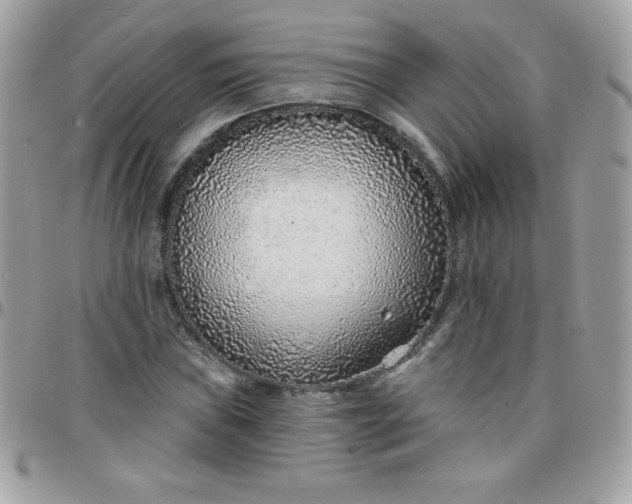 X0000097751019200803211647