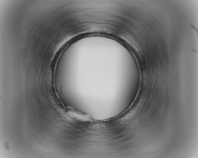 X0000097751021200803211647