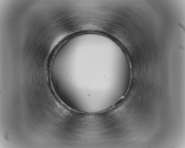 X0000097751022200803211647