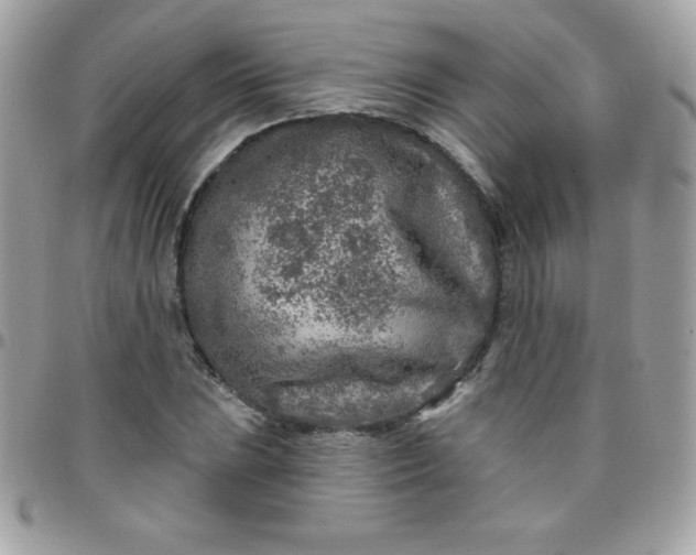 X0000097751023200803211647