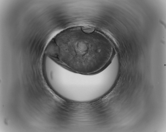 X0000097751024200803211647