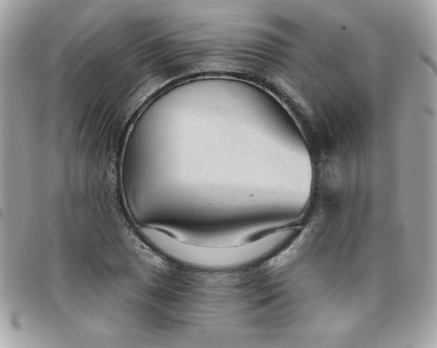 X0000097751025200803211647