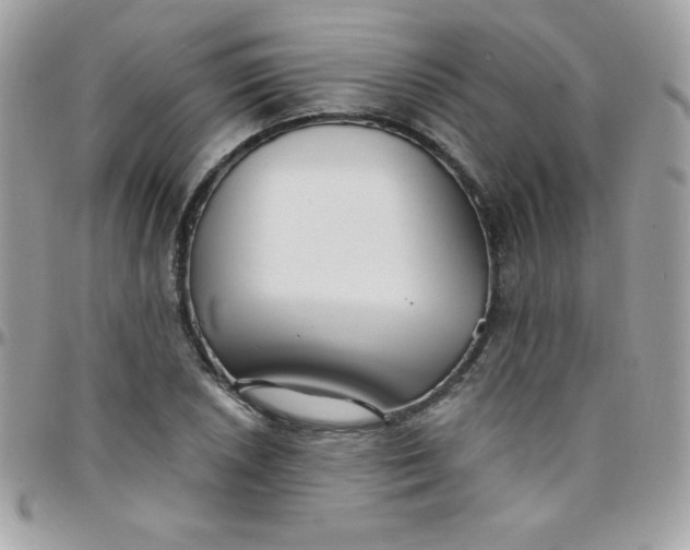 X0000097751026200803211647