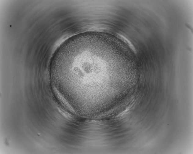 X0000097751027200803211647