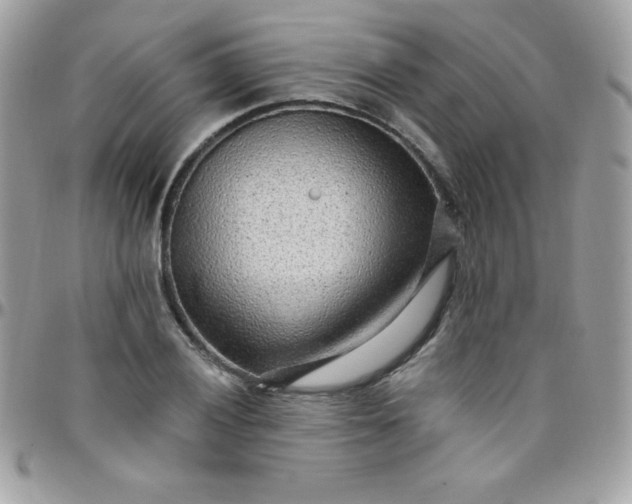 X0000097751028200803211647