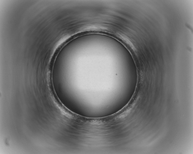 X0000097751029200803211647