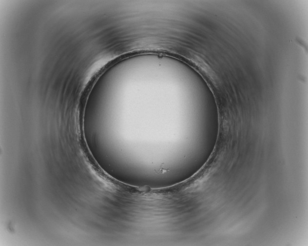 X0000097751030200803211647