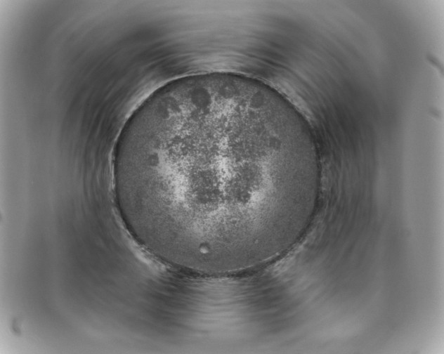 X0000097751031200803211647