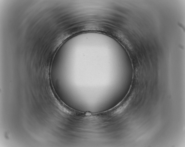 X0000097751033200803211647