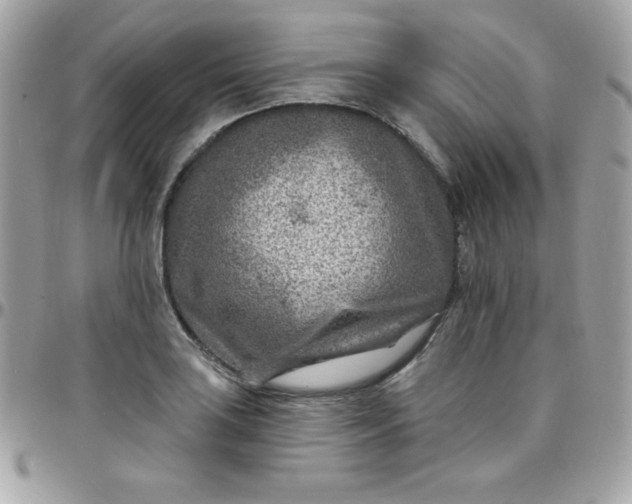 X0000097751035200803211647